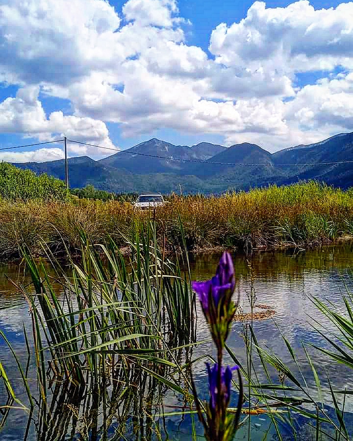 maliturista7's tweet photo. Rajsko selo Preodac, u pozadini velicanstvena Sator planina

Foto: Milica Benic https://t.co/xnJfFCRQFo