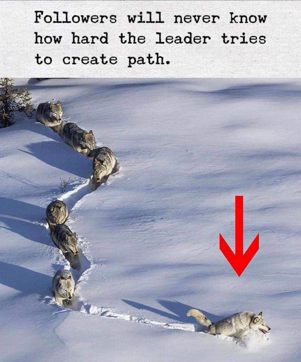 BTulisha's tweet photo. This Photo says all ... 
Lots of sacrifices.. Lots of pain... 
it's not easy to be a leader..., 🙏🙏 https://t.co/rmqmMRLGBF