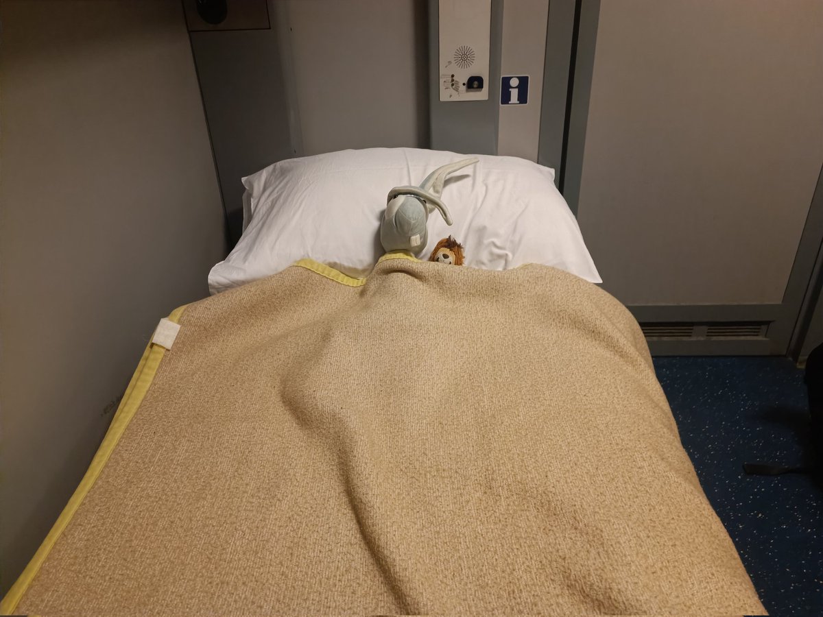 haseinblau's tweet photo. Eine Geschichte bitte noch, dann schlafen wir 🥺 https://t.co/0zjRmzdy3Q