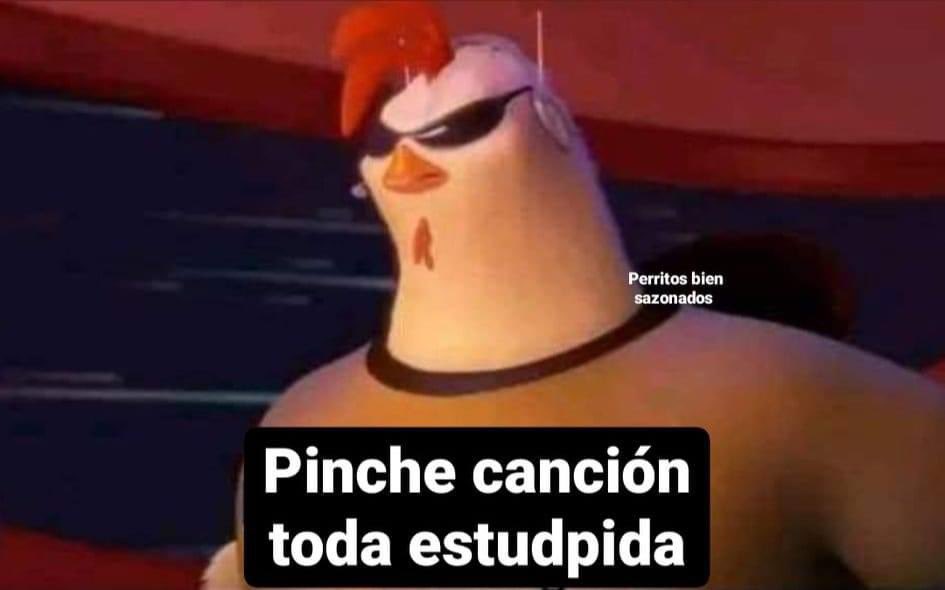 Mi perro después de que le cantara una canción sobre lo bonito que está y cuánto lo amo: