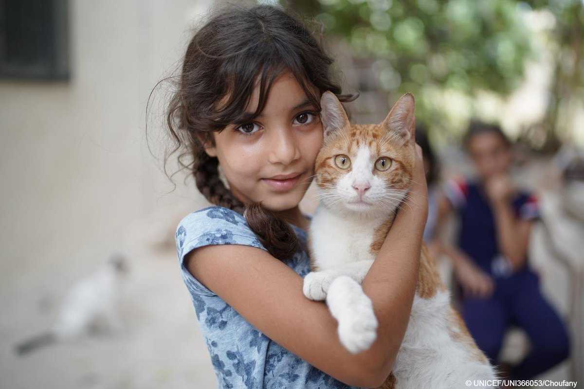 UN's tweet photo. Around the world, many people find solace in their pets.
On Tuesday's #InternationalCatDay, join us in celebrating our feline friends for helping provide comfort & companionship, while also improving mental health. https://t.co/00SW64dFTT