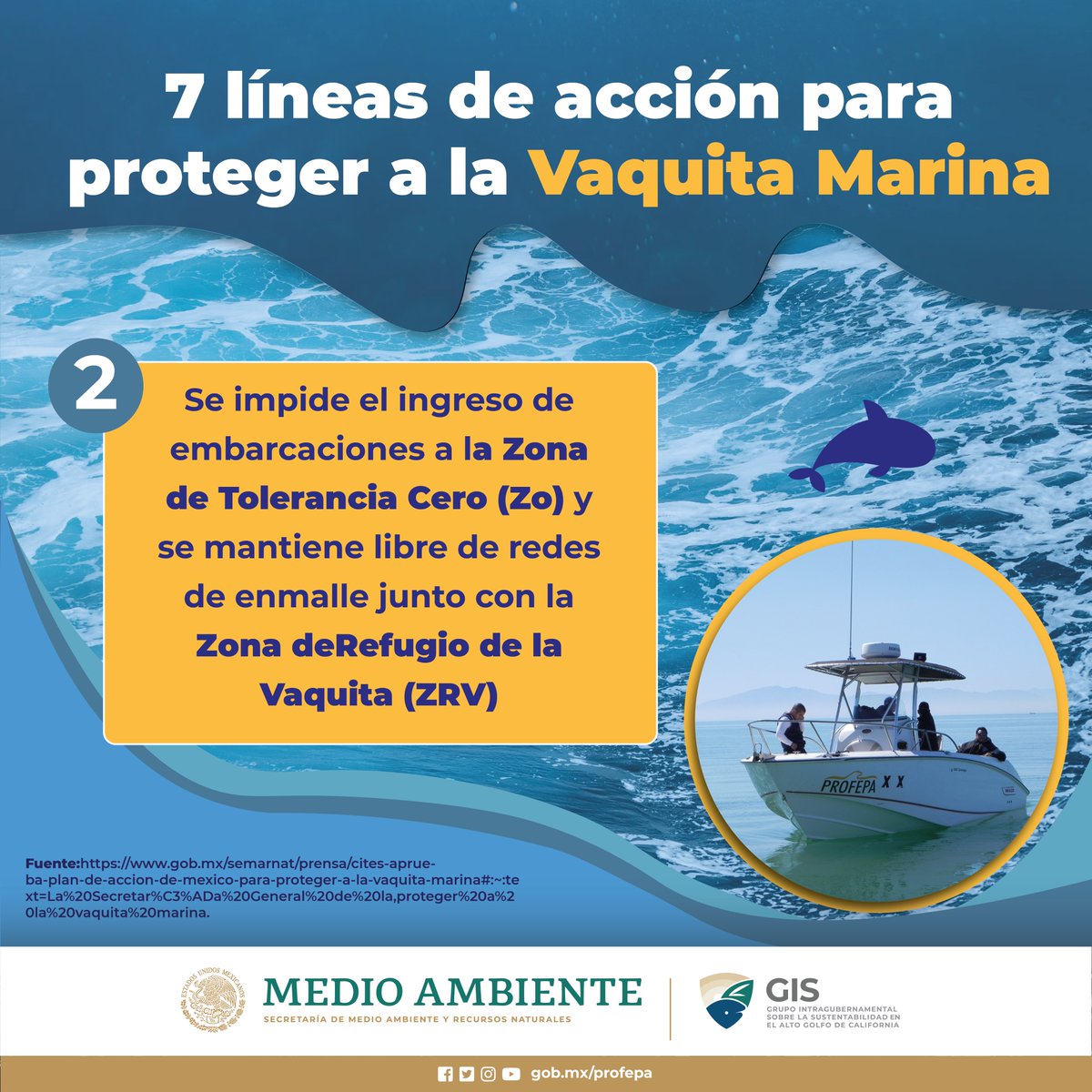 #ProcuraciónAmbiental 🔎🌊Conoce algunas de las #AccionesProfepa por la vaquita marina👇🏾