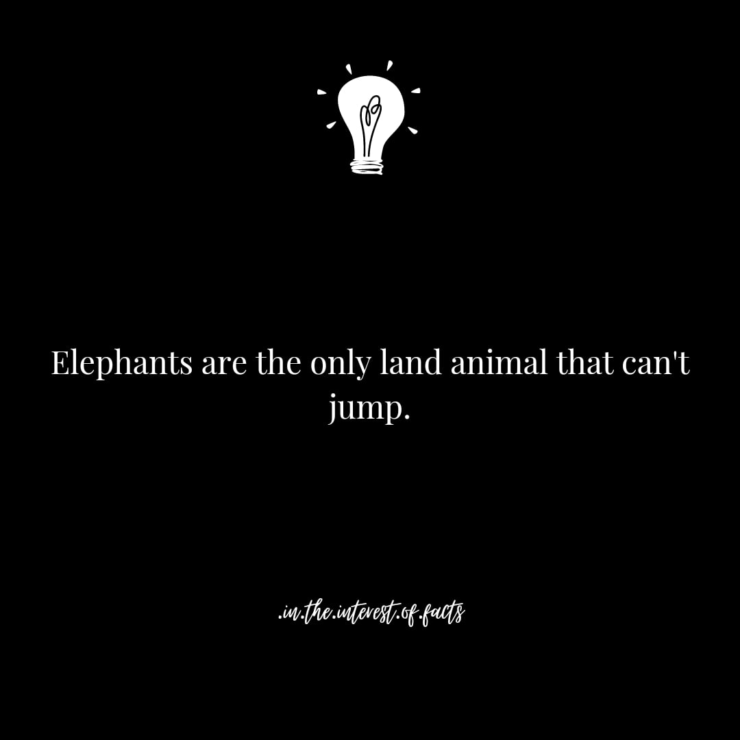 _Facts_Fun's tweet photo. True or False?
@FUNFACTS
.
#fun&amp;facts #interestingfacts #justfacts https://t.co/PFKTpPMocT