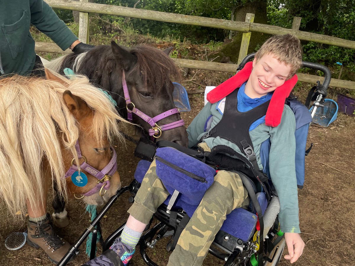White_Lodge's tweet photo. Week 3 of the school holidays has begun at #PYC with a trip to Briars Field Forest School & Mindfulness for SEN. The ponies have caused quite a stir! 🐴😄 #EnablingAbility https://t.co/8jw7LQ2TyB