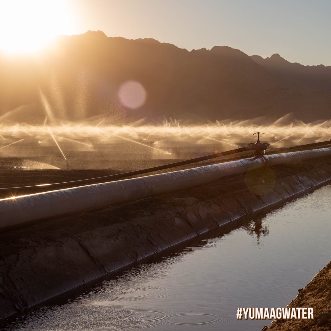 YumaAgWater's tweet photo. The Wellton-Mohawk Irrigation &amp; Drainage District facilitates irrigation for approx. 62,750 acres, including some 378 miles of main canals, laterals, and return flow channels. (https://t.co/AsjjAwyP20 &amp; https://t.co/wtWFdoqLGe) #yumaagwater 💧 https://t.co/qRLFjMRPgL