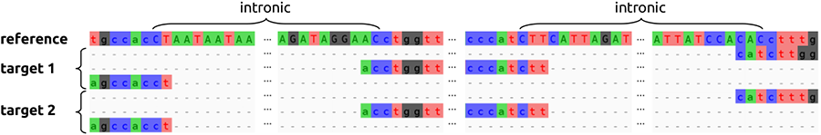 Botanical_'s tweet photo. LoCoLotive: In silico mining for low-copy nuclear loci based on #TargetCapture probe sets and arbitrary reference genomes. New in #AppsPlantSci from Lautenschlager &amp; Scheunert https://t.co/vY0XllwdMU @wileyplantsci @SPP_TaxonOmics #phylogenetics #iamabotanist https://t.co/RyjB9prJpW