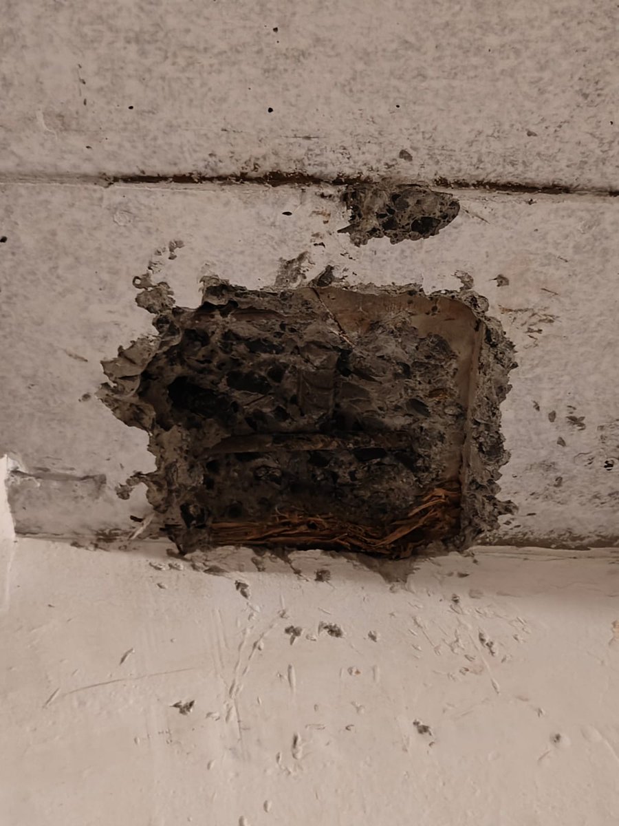 RejuveChs's tweet photo. Hello @GodrejProp,

Godrej Rejuve - A society in Keshavnagar with 726 flats. Now the possesion isn't over yet we can spot corroded iron bar.

Please let us know what kind of testing have you done Godrej. Are you risking lives of people?

@PuneTimesOnline Please intervene.
#Godej https://t.co/SKcOzD6h3w