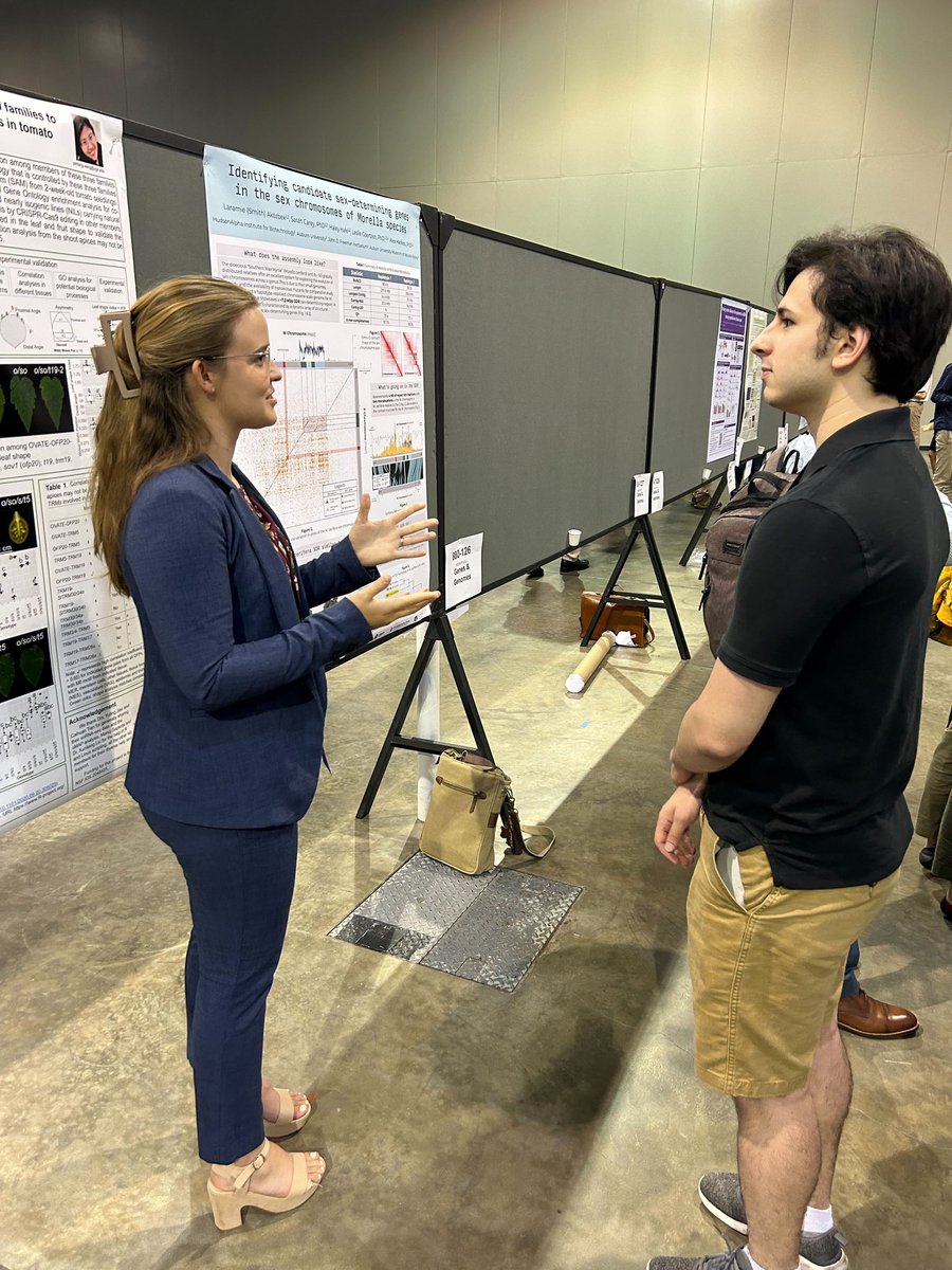 So grateful to share my research on sex determination in Morella species this year at #PlantBio2023. Come check out my poster at 800-125!