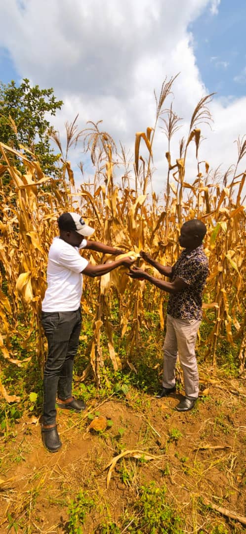 agrosupplyug's tweet photo. Farmers feed the world. Support your local farmer today!
For agricultural advisory and information about our products, visit our website https://t.co/nBqFeH94Nt or contact us on our Toll-free line 0800100046
#Farming4theFuture
#feedtheworld https://t.co/ojcysVzSlq