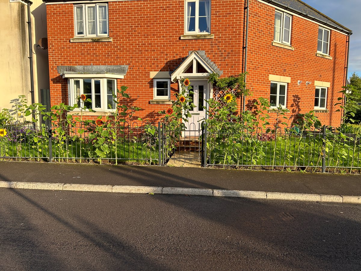 This week's Photo Of The Week is something a little different! 🌻

Wild sunflowers are amazing sources of food for pollinators, attract birds &amp; they add some beauty to your chosen area. Sunflowers also absorb toxic heavy metal contaminants &amp; poisonous chemicals in the soil!