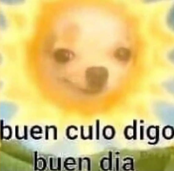 𝐄𝐋𝐁𝐀 𝐋𝐀𝐙𝐎 cupos cerrados. (@matchingrm) on Twitter photo 