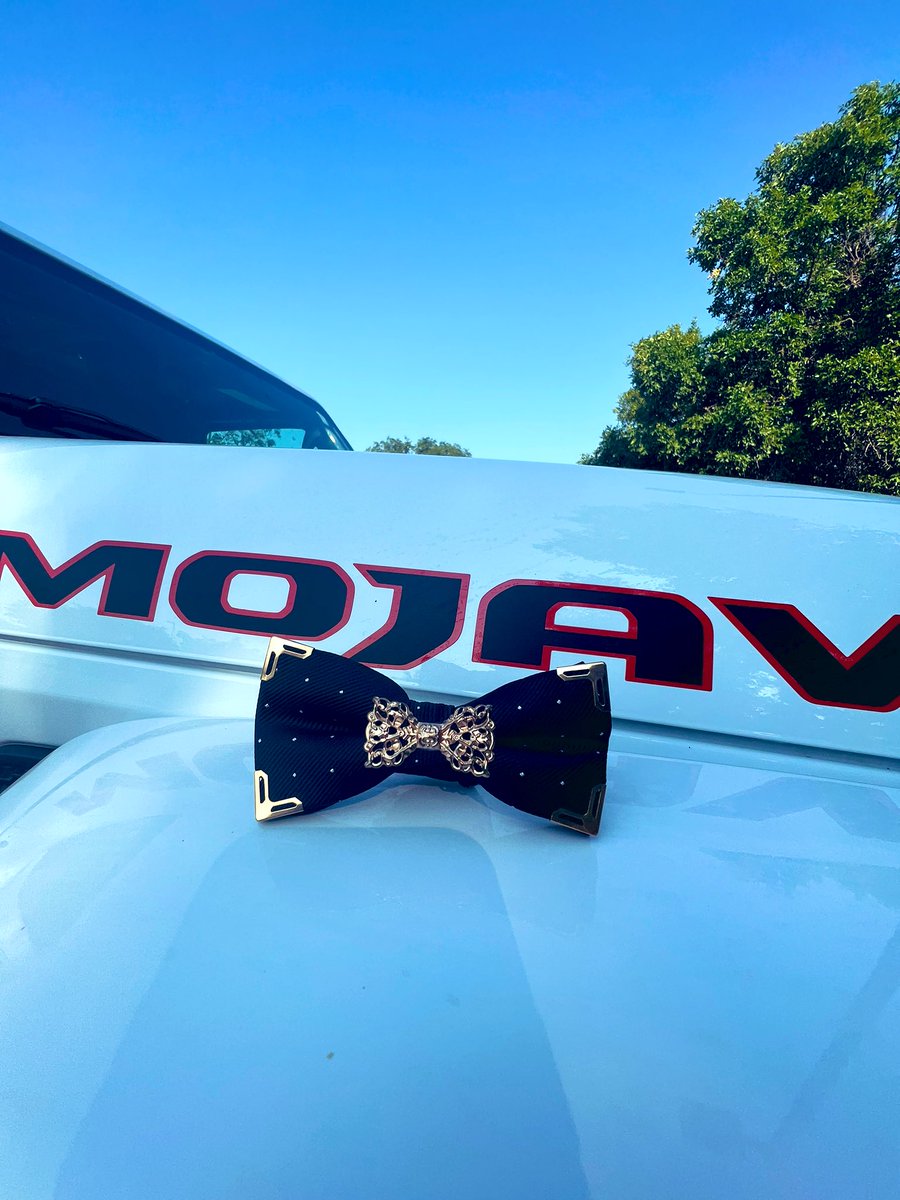 HiBowtiesonly's tweet photo. It’s your world. #bowtieful https://t.co/X5xNrgKh0F