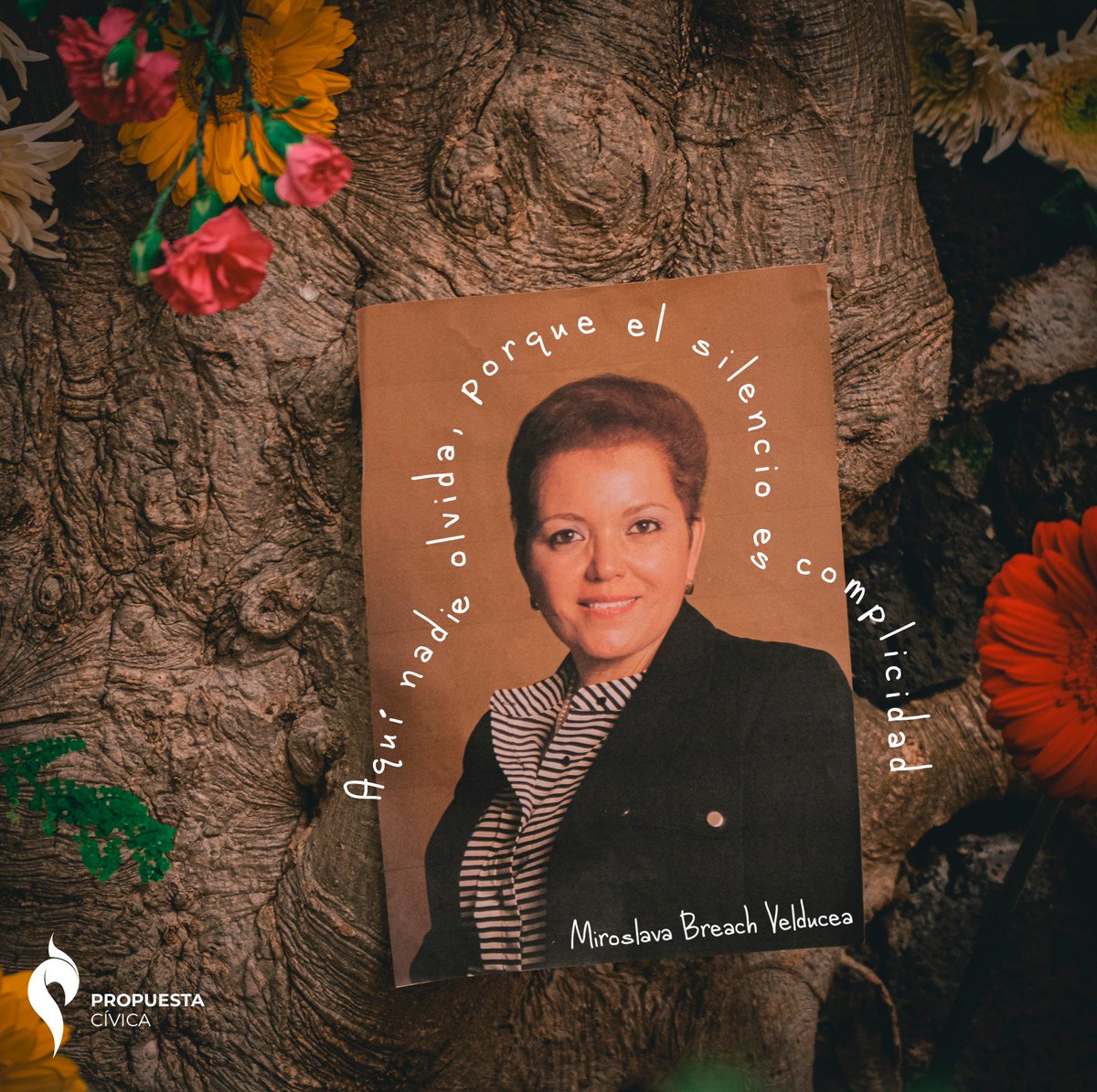 PropuestaCivica's tweet photo. Un día como hoy nació #MiroslavaBreach, conmemoramos su vida recordando su fortaleza por hacer el periodismo que amó, por evidenciar los abusos de poder, la existencia de la narcopolítica y sobre todo por motivar a más periodistas a no callar, porque el #SilencioEsComplicidad 🙏 https://t.co/m0Mm9UurrZ