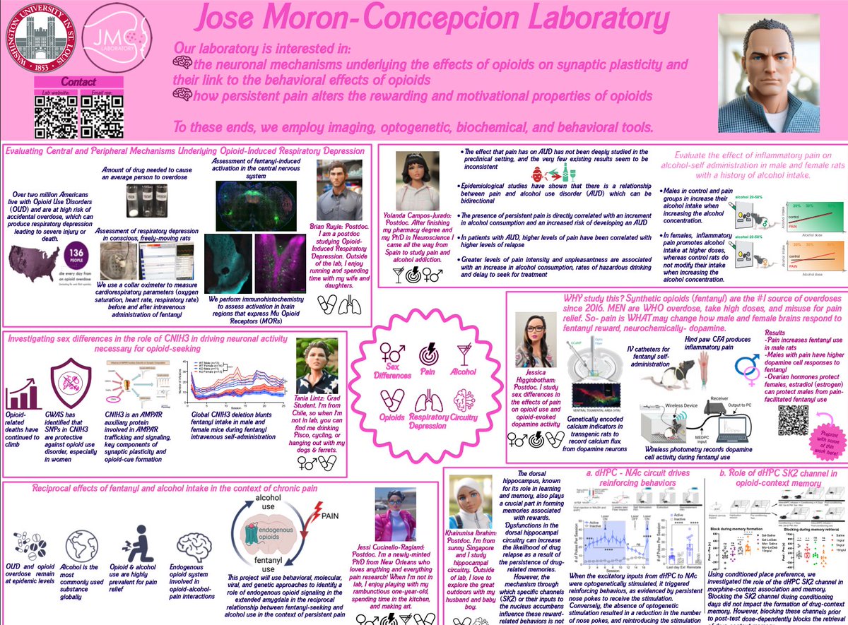 jomoronc's tweet photo. In honor of Barbie, here you can see what we do in the JMC lab. https://t.co/WWnW33ivCy