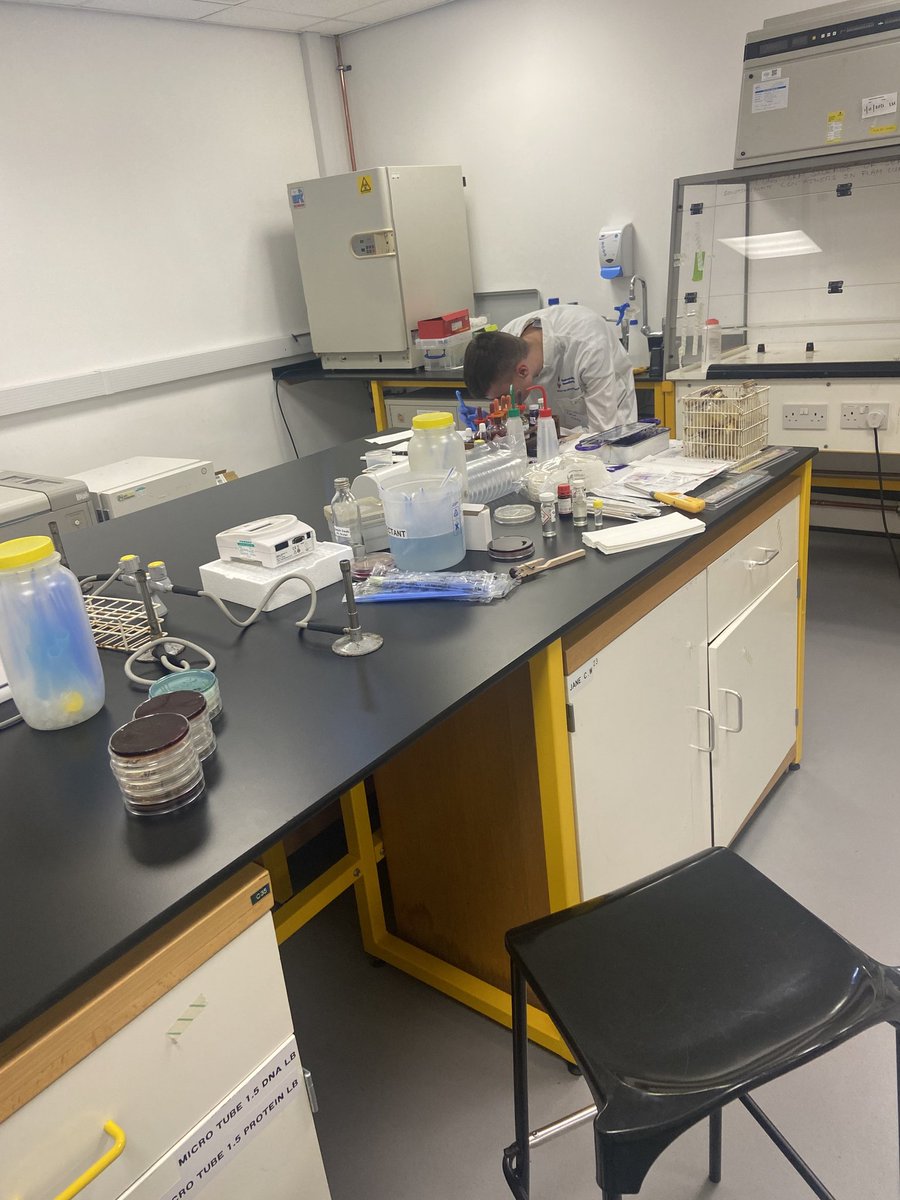 SununiBio's tweet photo. Who said universities are shut over summer ! In Biosciences at the University of Sunderland, we are supporting A-level summer students on the Nuffield programme - a 2 week project placement in their desired field of interest ! #biosci #universityofsunderland #scientistsintraining https://t.co/3JEFa0sjaD