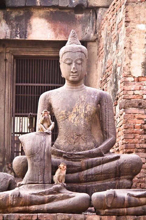 Buddha Project tweet media