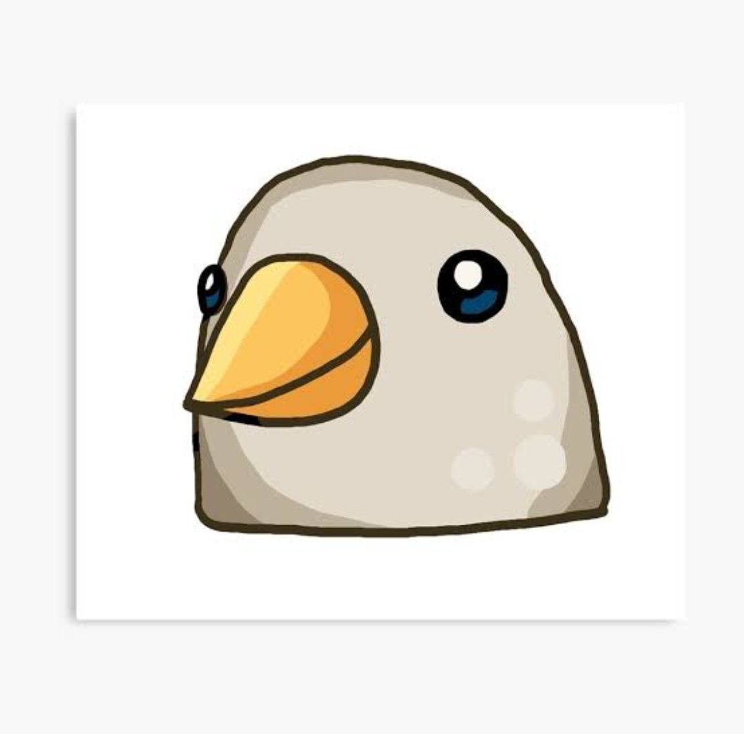 Something about this bird...