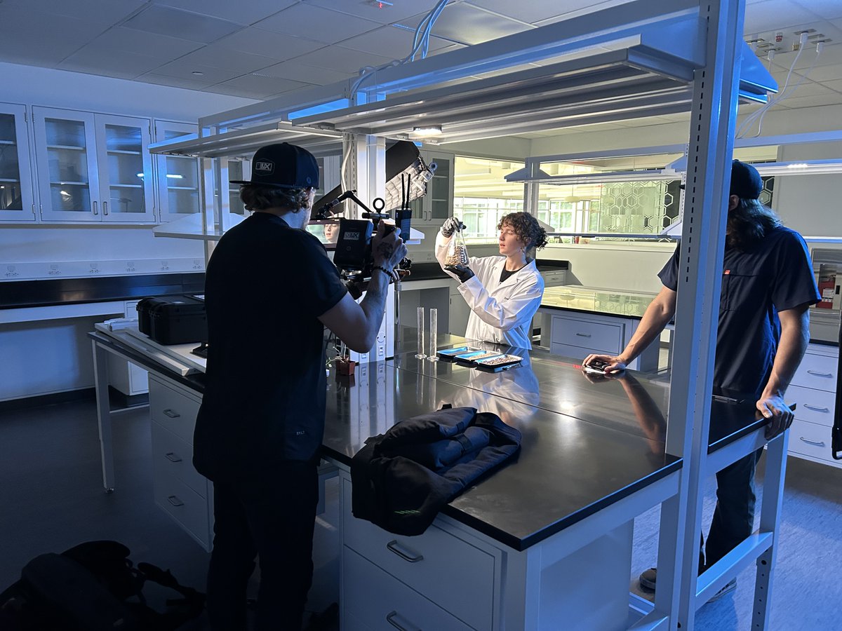 simplifyber tweet media