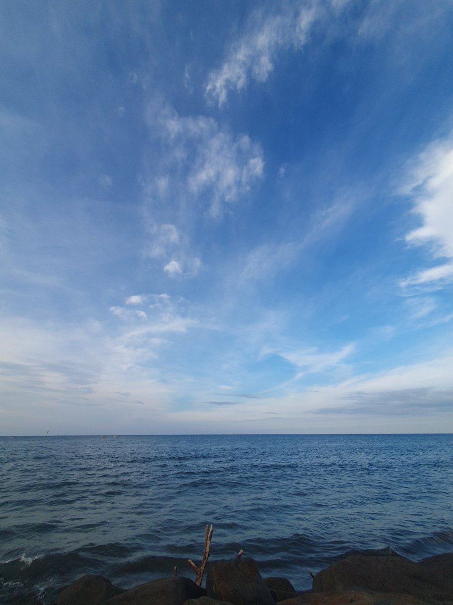 puypupuy's tweet photo. @tanyakanrl https://t.co/teUQVacJpR