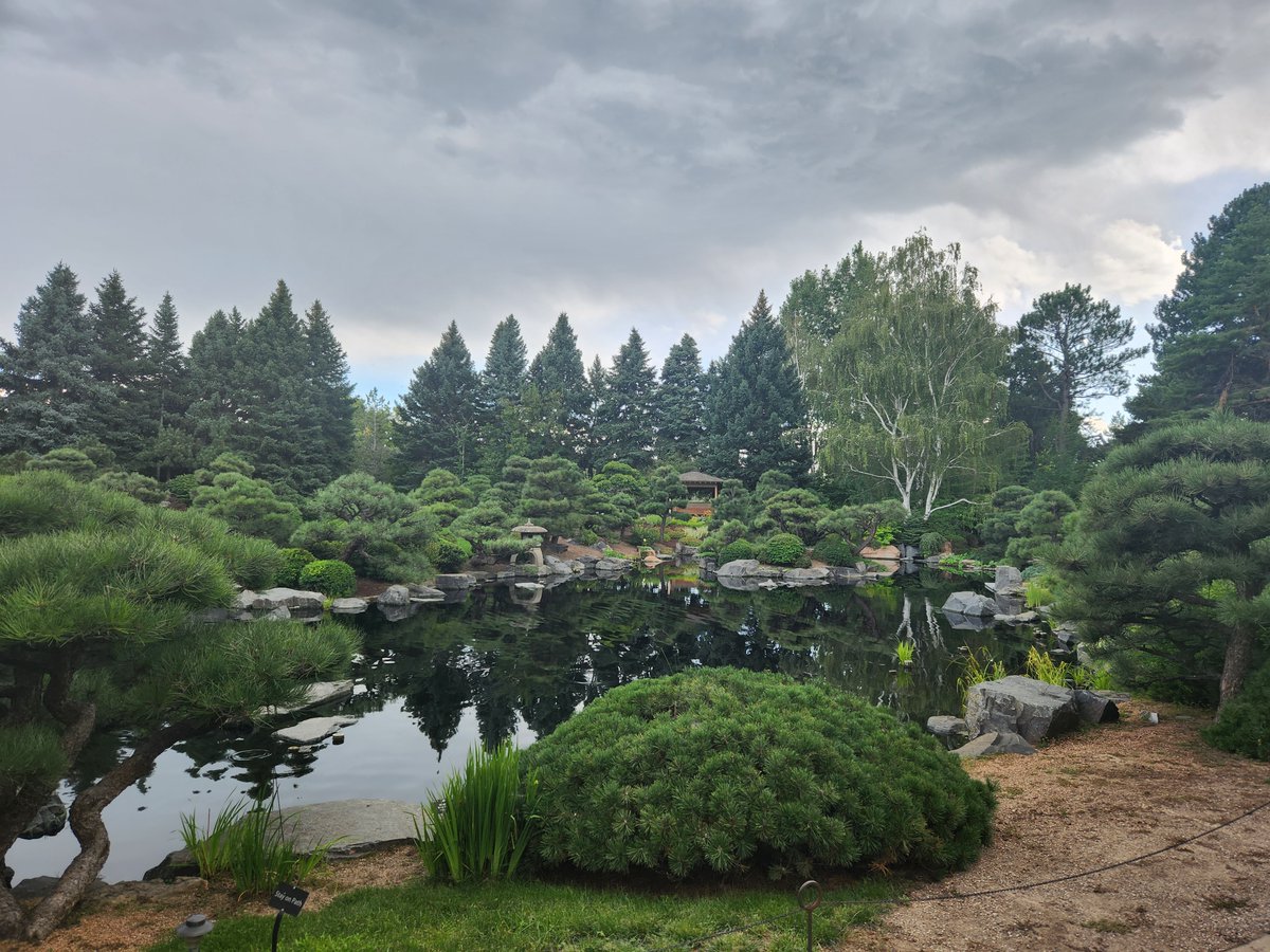 Amy Lovatt (Golden) tweet media