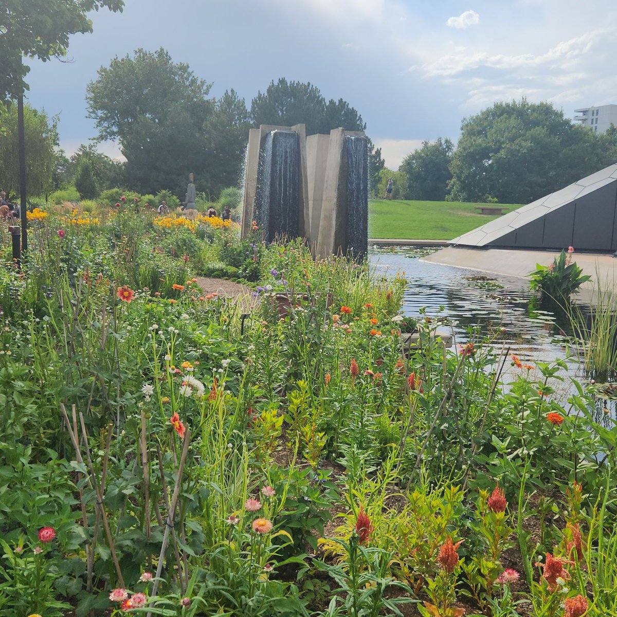 Amy Lovatt (Golden) tweet media