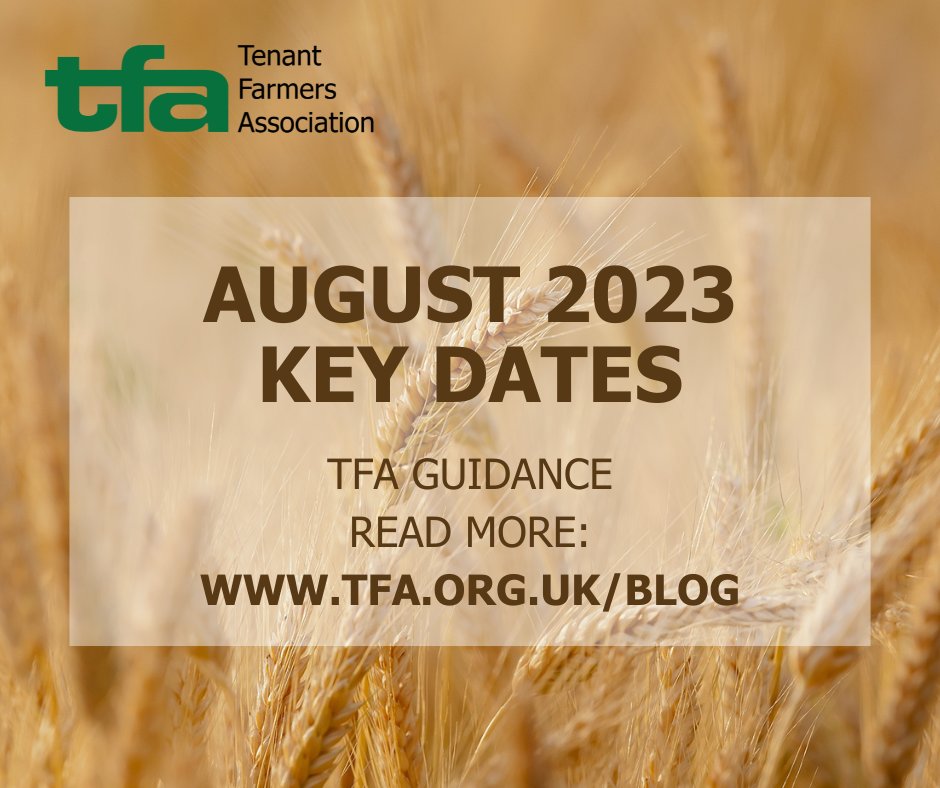 tenantfarmers's tweet image. It’s that time of year when key dates and deadlines can be missed. Catch up on the Key Dates for August 2023 here: bit.ly/3OHleCm
#CrossCompliance #RPAPayments #HedgeCutting #ApplyingManure #CSMidTier #RPAApplications #WildlifeOffers