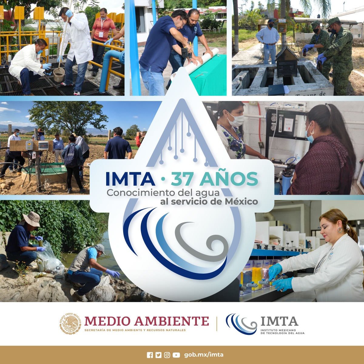 IMTA tweet media