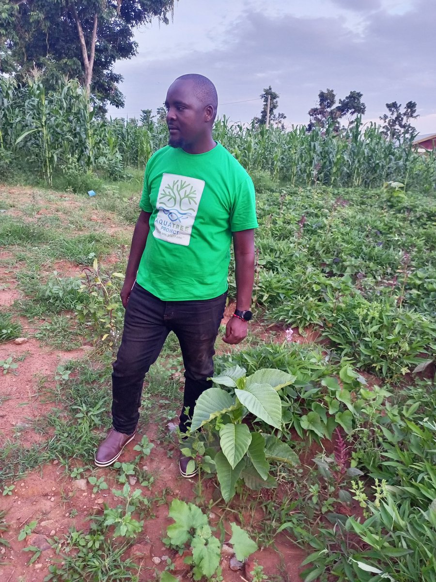 AquaTreeProject's tweet image. It feels really good going back to the field to check on progress of  #trees we plant every season!
Our ED @bakora_moses  is excited to see how fast our trees we planted at Buyondo Primary school  Namayingo as @AquaTreeProject .
Planting #trees brings healing to mother #nature