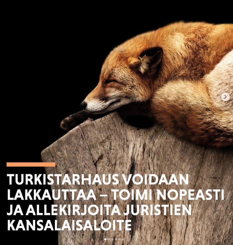 Kaikki merkit viittaavat nyt siihen, että turkistarhauksen loppuminen voi oikeasti olla lähellä. Vuosien ajan tiedossa olleiden eettisesti kestämättömän ja äärimmäisen julman alan ongelmien lisäksi myös linnut ja me ihmisetkin olemme uhan alla. 1/x