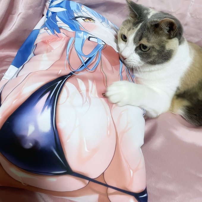 あーっ!お客様困りますお客様あーっ!!

当日ブースにて展示するクッションサイズのサンプルを作ったのですがお猫様にとっても最高の抱き心地のようで、梱包ができません!
これがライクトロンの力だというのか…! 