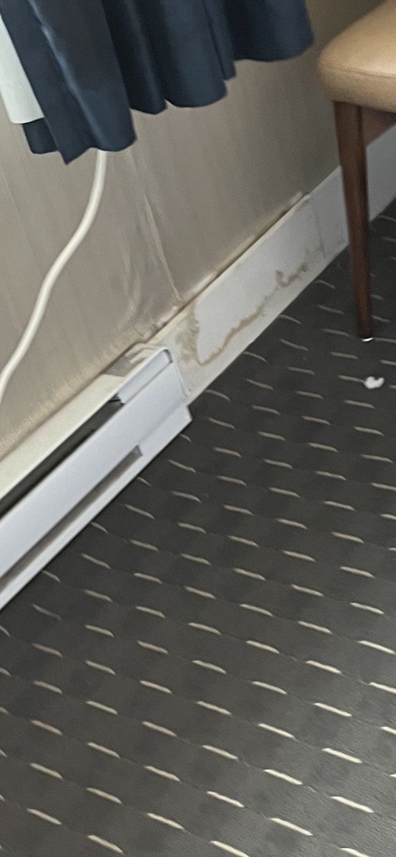 AntoinnetteNA's tweet photo. Don’t stay at #blueriversandmanhotel it’s dirty. Hallways stink like nicotine there was the same two bags of garbage in the hallway the whole time I was there. There was gross stains on the wall. The view was terrible. https://t.co/8H62XZrAV9