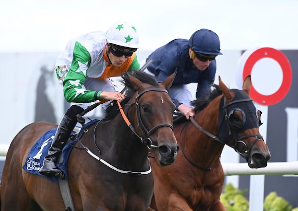 ShamrockTBS's tweet photo. Rush Queen wins the @IrishEBF_ Rated Race at @NaasRacecourse today in the hands of @cianmac01 for the @adomcguinness1 Team. Well done to all Shamrock shareholders involved #FastFilly #BreezeUpGrad #BanshaHouseGrad https://t.co/FazY1tEucK