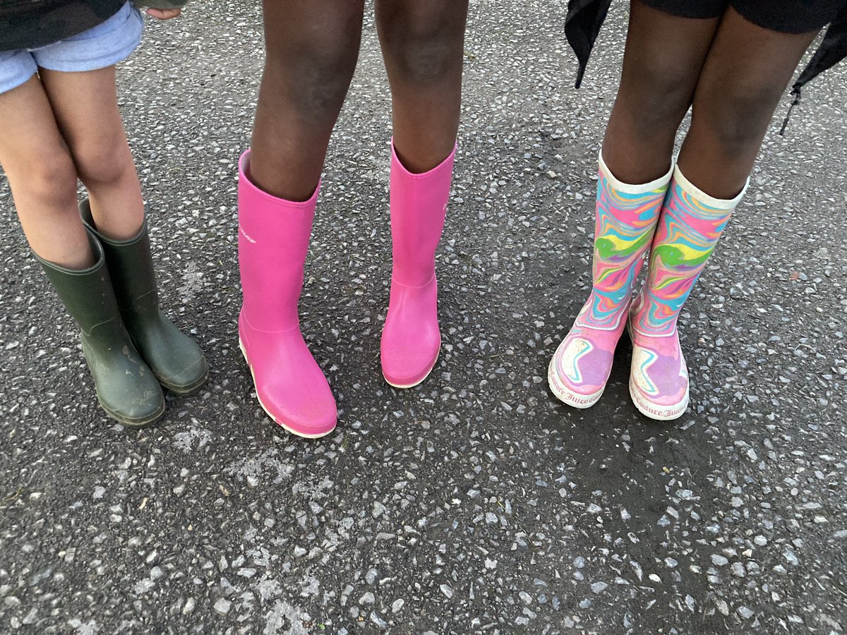 Good Shepherd, Carshalton Beeches tweet media