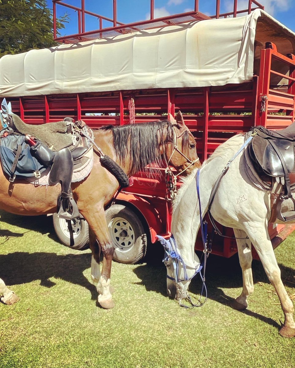 Sam Johnson tweet media