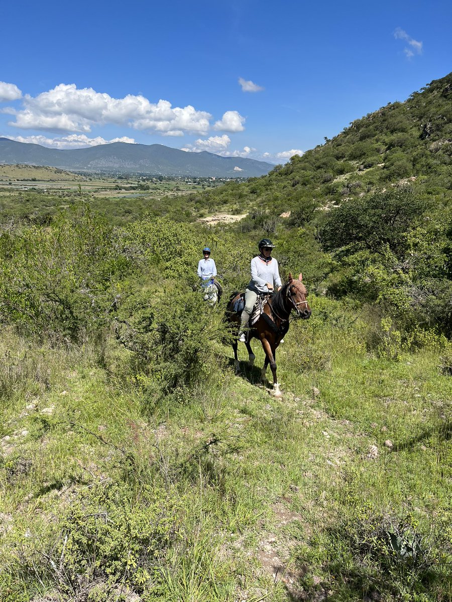 Sam Johnson tweet media