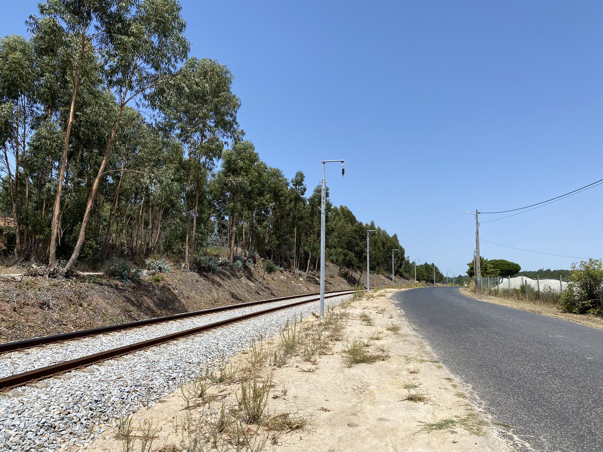 pmmrcosta's tweet image. Aldeia Grande - Torres Vedras.
Colocação de postes catenária concluído.
Trabalho de drenagem em curso.
#ferrovia #linhadooeste #comboios #caminhosdeferro