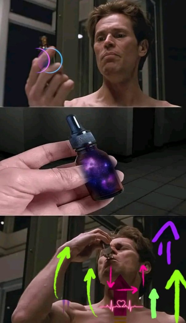 amur_dx's tweet image. @Entanglefi   #meme #entangleelite