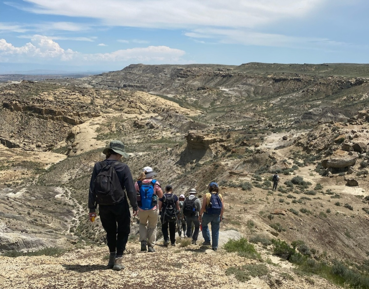 Loyola University, College of Arts and Sciences tweet media