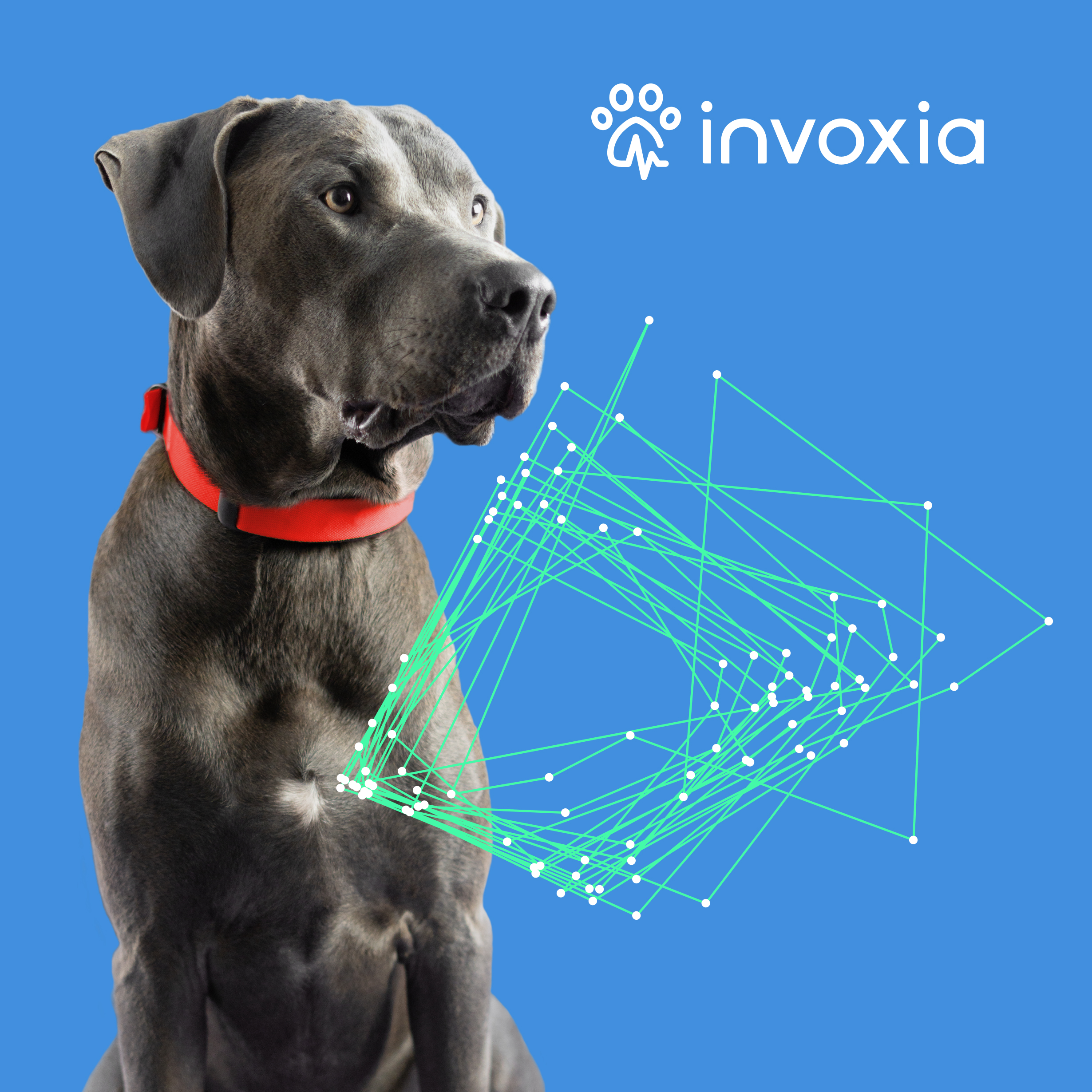 Invoxia présente son nouveau Tracker GPS Pro pour suivre plus précisément  ses biens - Le Monde Numérique