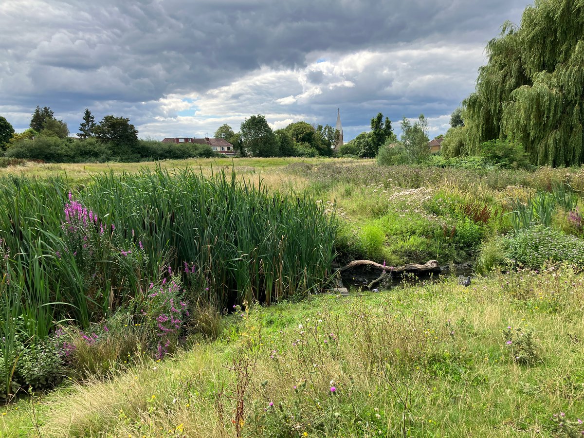 Cracking day with the EA London Lea Working Group. Gathering #teamea people from across the area to talk all things Lea. Thanks to @EnfieldSuDS for giving us a tour of the stunning Albany Park restoration site. Some great connections made to improve our internal communications.