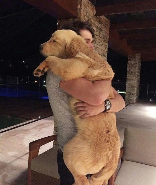 Popularpuppies3's tweet photo. So adorable puppy https://t.co/YBtbhMuZsZ
