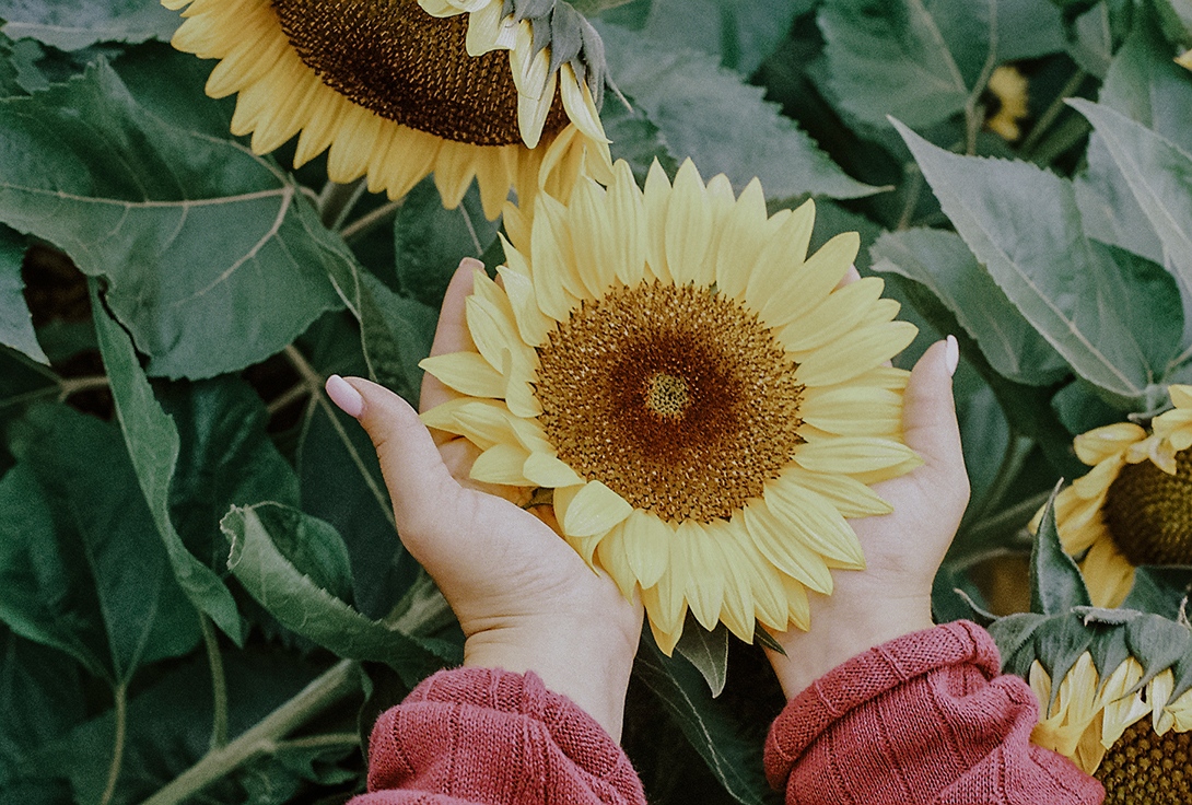 a little sunshine for your cloudy day

#minolta  #lookslikefilm #createexplore #artofvisuals #filmisnotdead #35mm  #shootermag #dazedandexposed #filmisgod #thirtyfivefuckingmillimeter #35mmphotography #summertime #analoguepeople #filmwave #peoplescreative #indiependentmag #n8zine