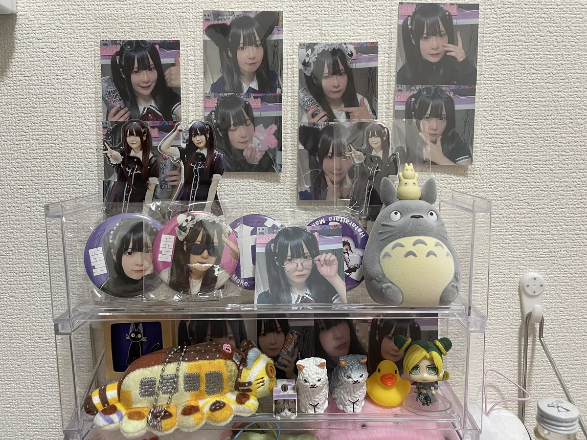 kh_SpringFlower tweet picture
