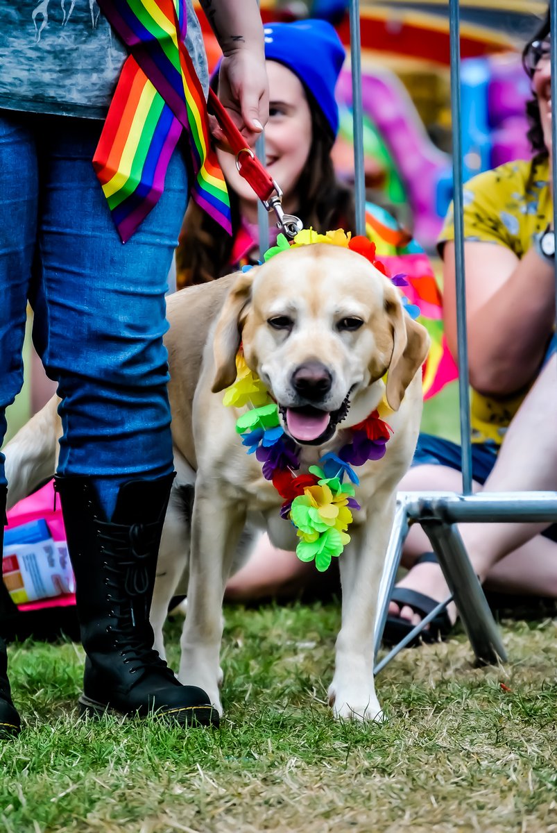 🏳️‍🌈 Save the date for @HertsPRIDE on Saturday 19 August, at Cassiobury Park! A vibrant, inclusive event celebrating love, diversity, and acceptance in the LGBTQIA+ community! Join us for live music, dance performances, a dog show and more! hertspride.org