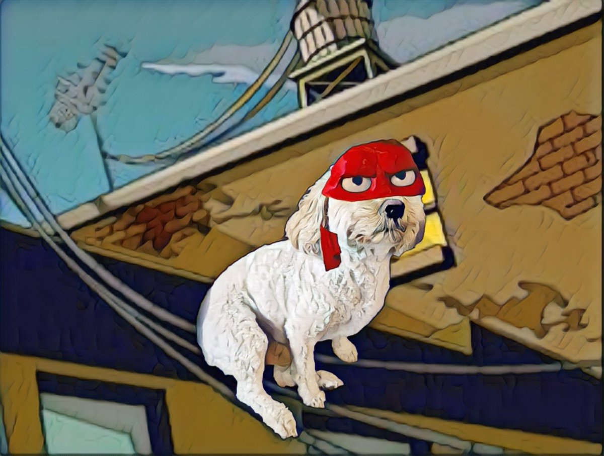 Teenage Mutant Ninja Marvin!