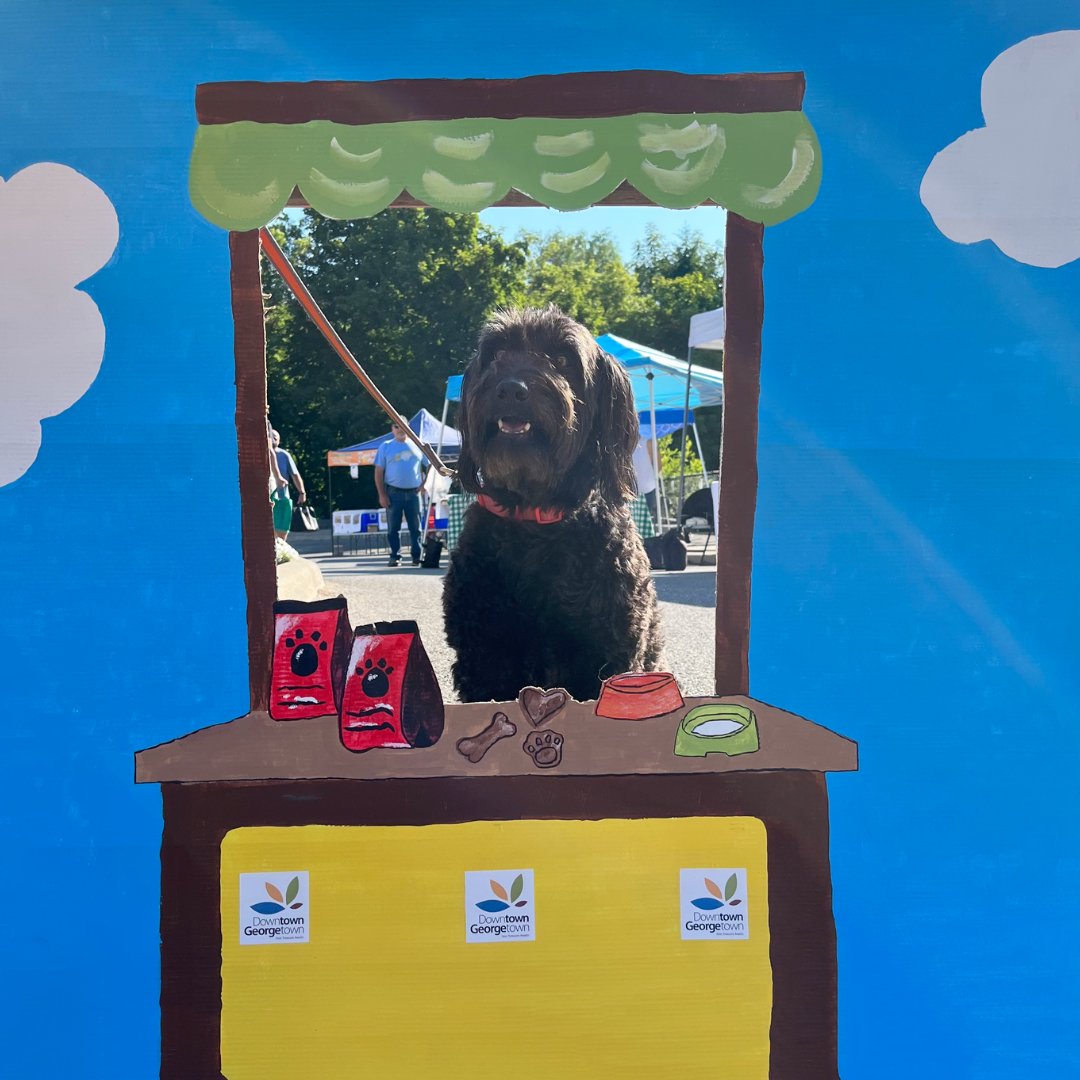 GeorgetownFM's tweet image. August 12 is Dog Day! Bring your puppy or pooch to the Farmers' Market for an extra special day 🐶 #georgetownfarmersmarket #haltonhills