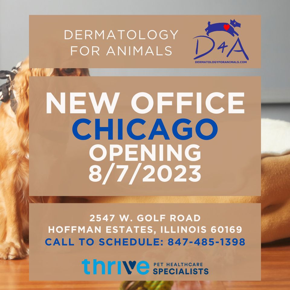 Derm 4 Animals tweet media