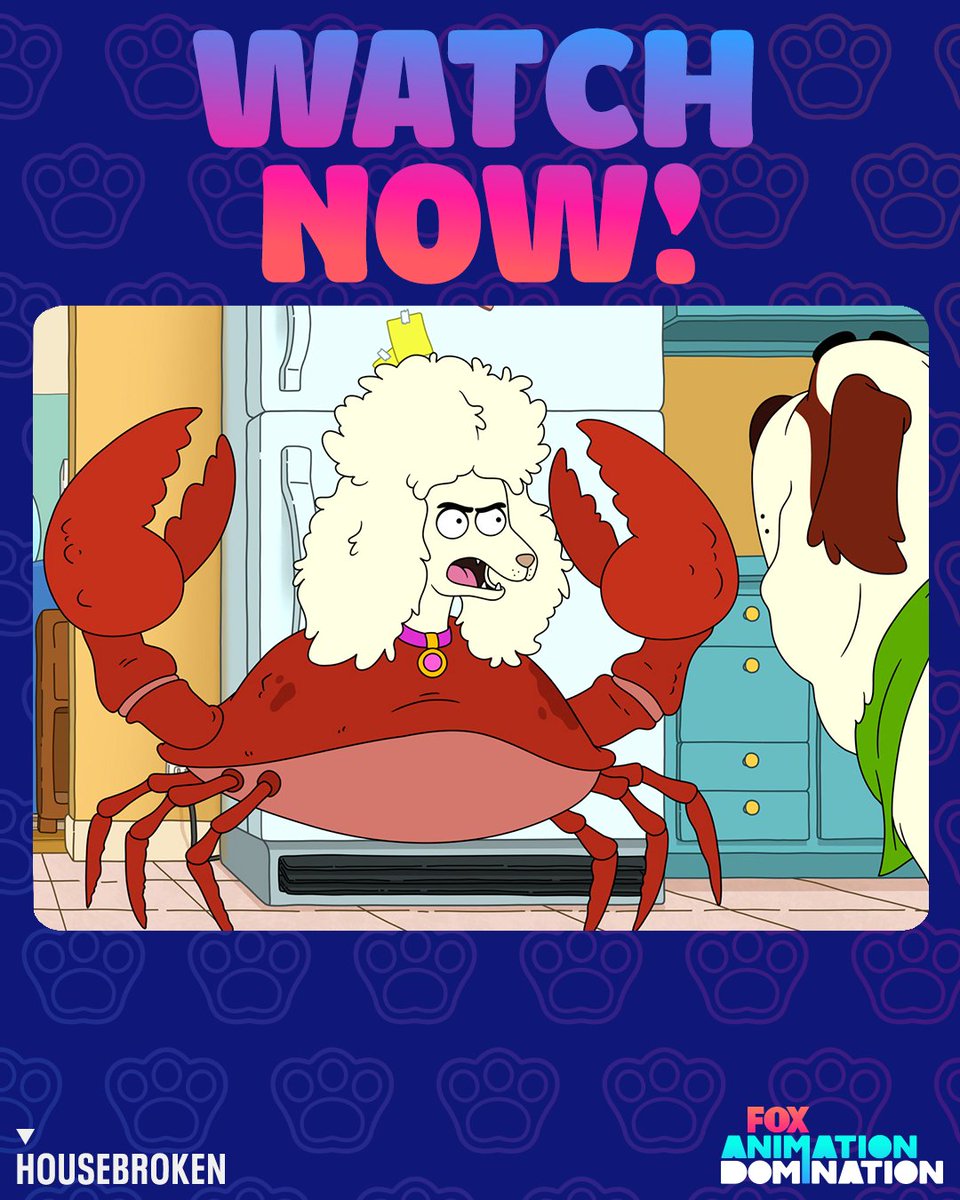 HouseBrokenFOX tweet media