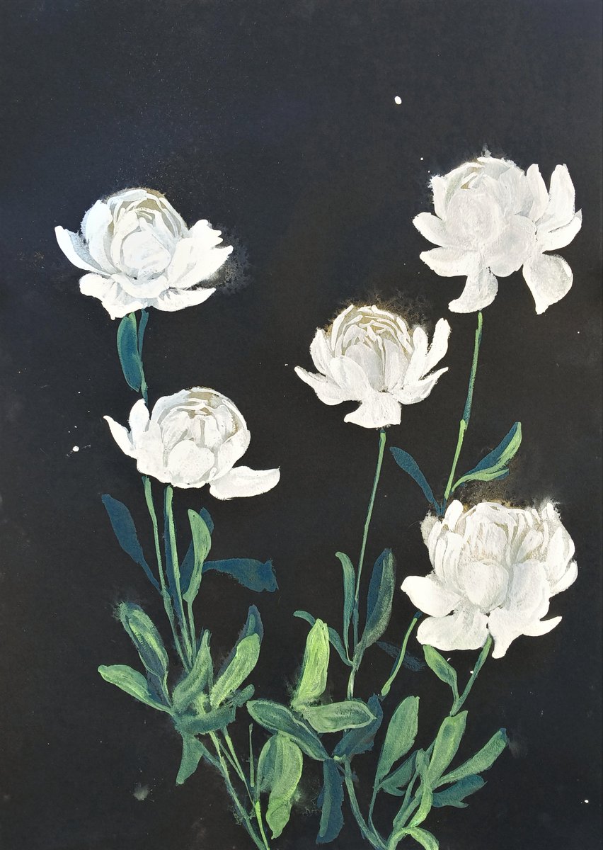 Meet Me In the Moonlight
Watercolor on Black Cotton Paper
2023, 22"x 30"
White Peonies
#art