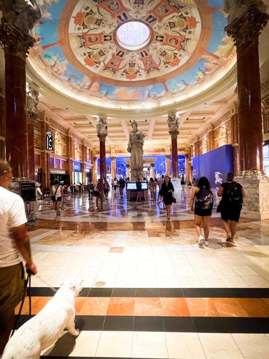 jonesmitchellgl's tweet photo. A glimpse of Valeria’s free trip to stay at the beautiful Caesars Palace… 

#HardWorkPaysOff #GlobeLifeLifeStyle #JonesMitchellgl #DevelopingLeaders #Vegas https://t.co/S3lpNLLuQj